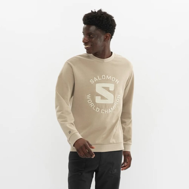 Beige Salomon Outlife Logo Summer Men\'s Sweatshirt | PH 02687P